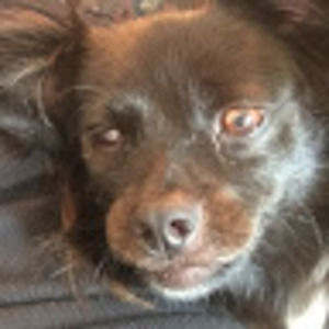 Meet your Posher, Carla